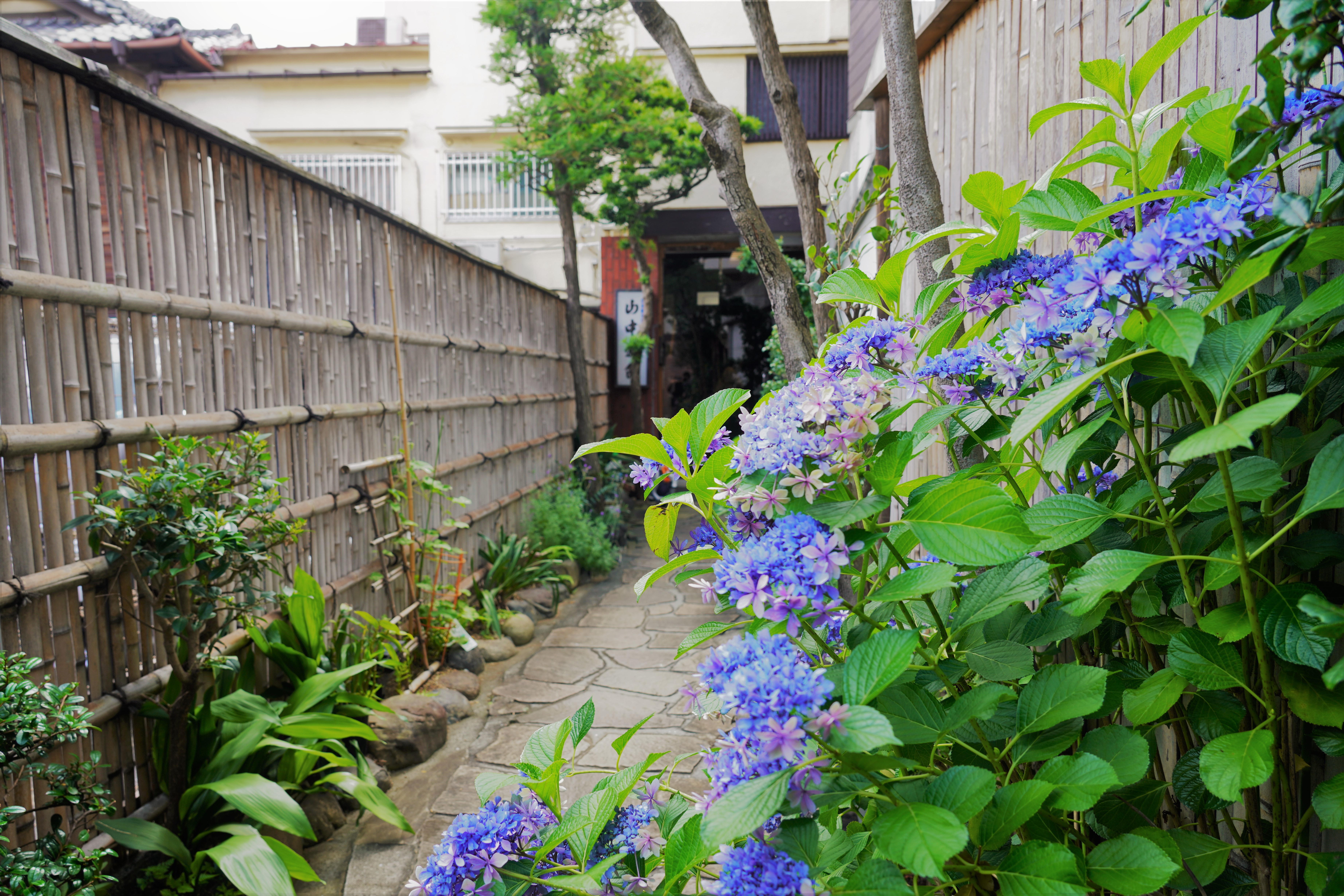 お部屋の様子